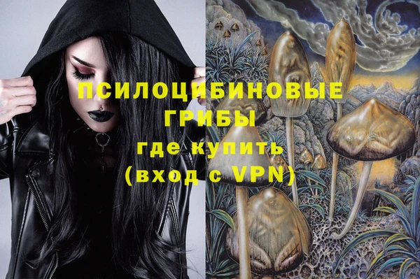 стаф Алексеевка