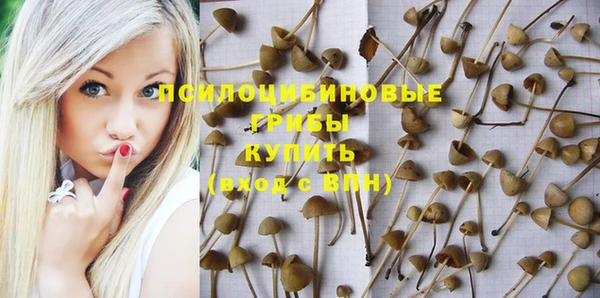 прущие грибы Алексин
