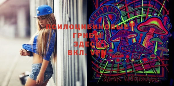 стафф Покачи