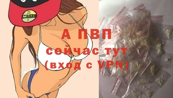 стаф Покровск