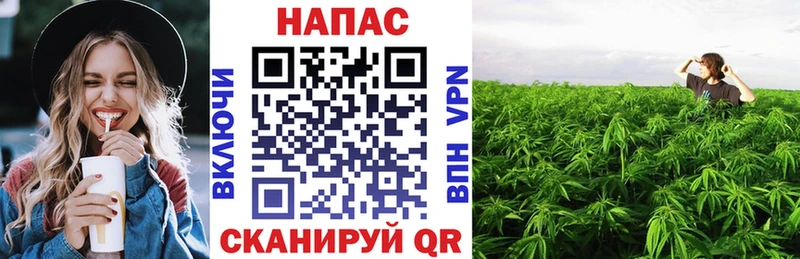 МАРИХУАНА SATIVA & INDICA  Покров 